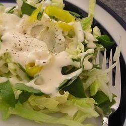 Plato con ensalada